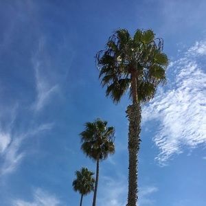 Meet your Posher, Melanie